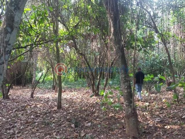 Land for sale in Ogun