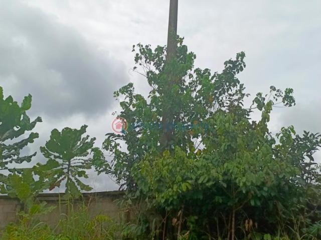 Land for sale in Owerri