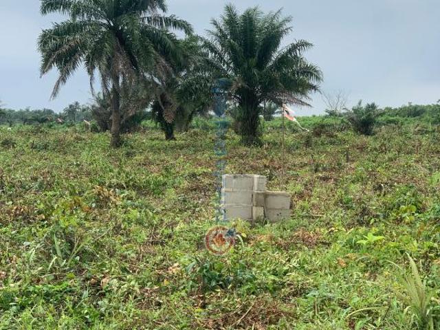 Land for sale in Lagos, Epe