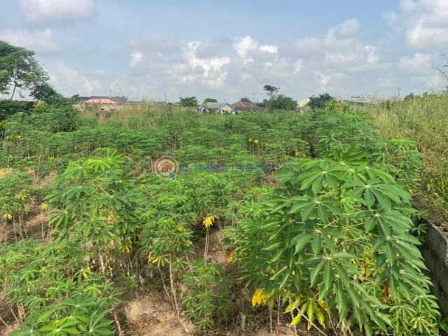 Land for sale in Lagos, Abuja