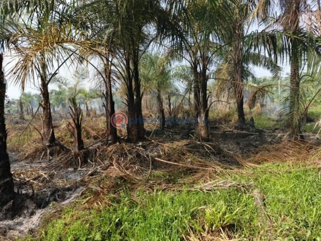 Land for sale in Ijebu Ode