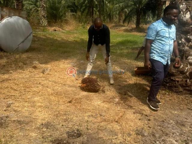 Land for sale in Ewekoro, Ogun