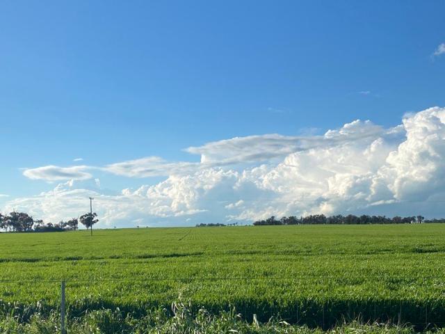 Cottage for sale in Minyip, Victoria