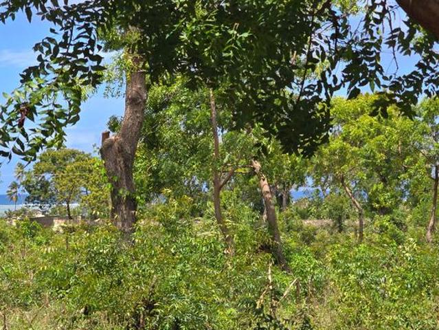 Land for sale in Kikambala, Kilifi