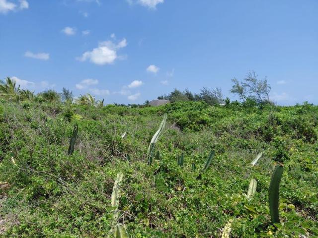 Land for sale in Msambweni, Ukunda