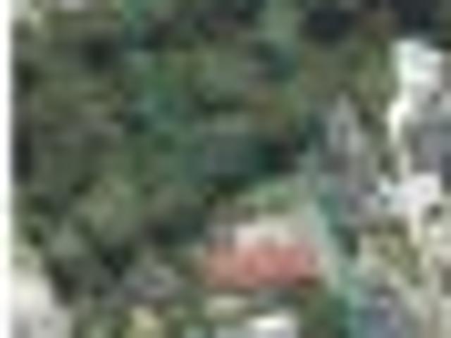 Land for sale in Wairau Valley