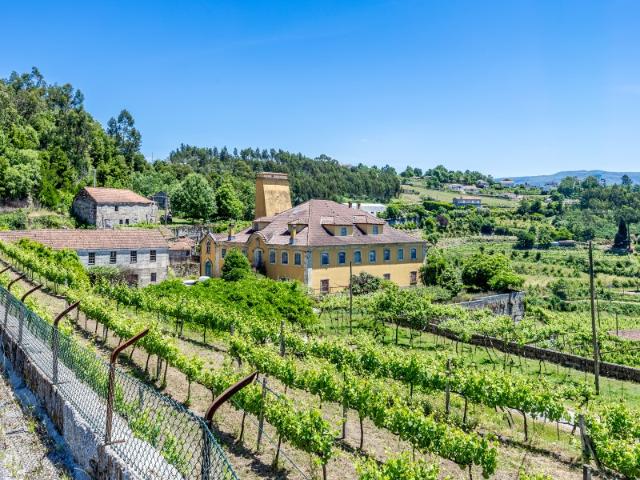 Quinta venda em Constance, Vila Caiz