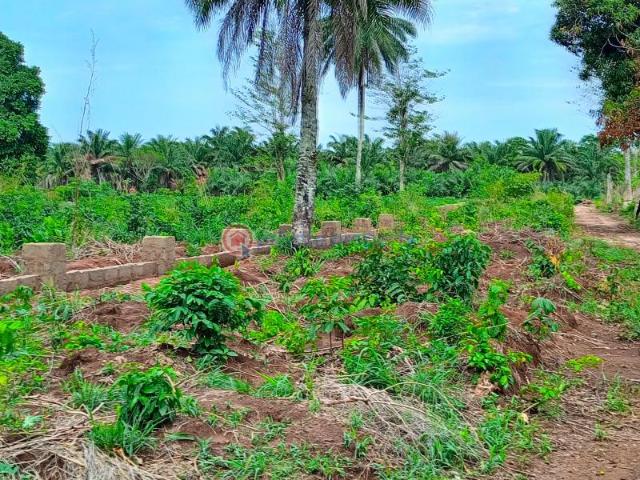 Land for sale in Aniocha South