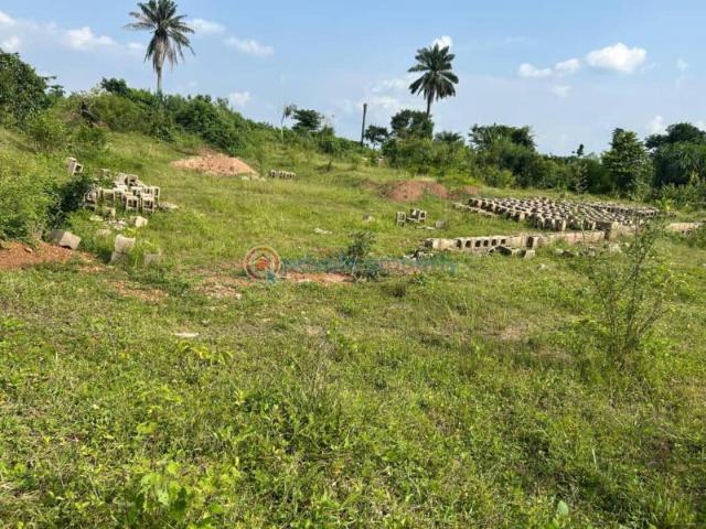 Land for sale in Ojo, Ibadan