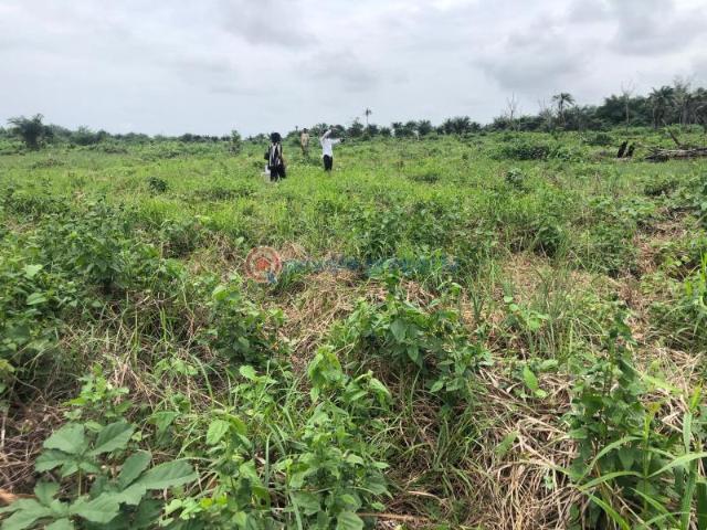 Land for sale in Ethiope East