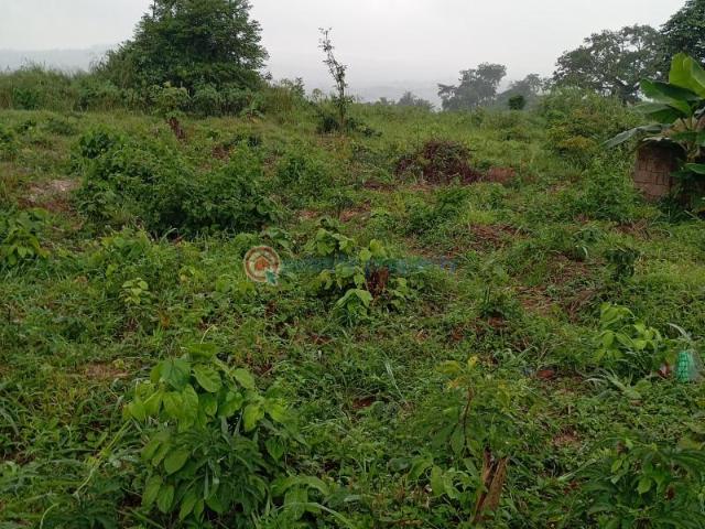 Land for sale in Anambra