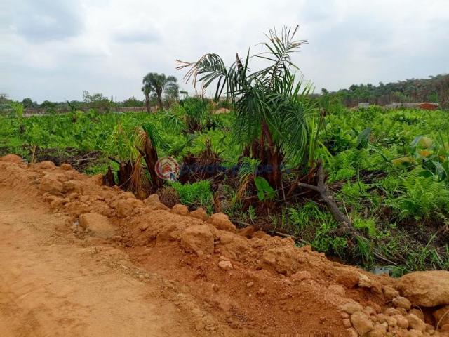 Land for sale in Lagos, Abuja