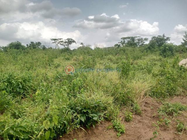 Land for sale in Ifo