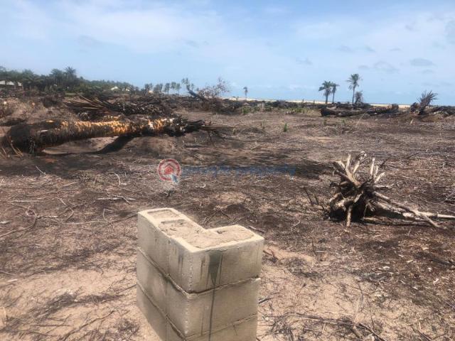 Land for sale in Oshimili North