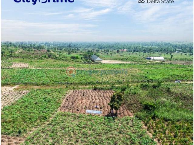 Land for sale in Oshimili South, Delta
