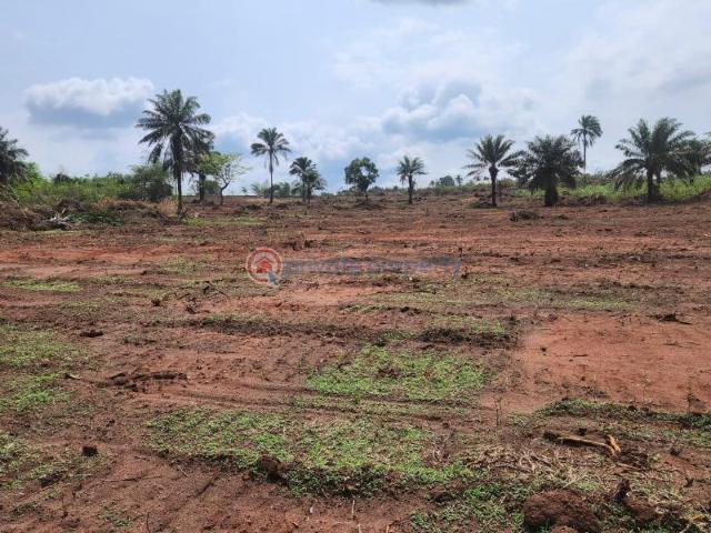 Land for sale in Oshimili South, Delta