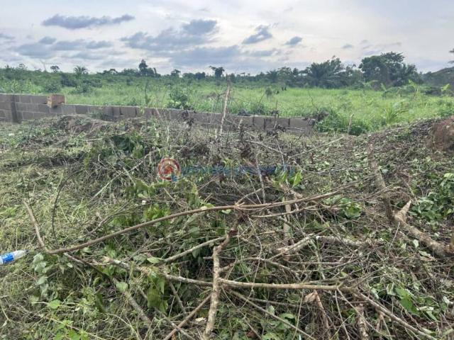 Land for sale in Lagos, Epe