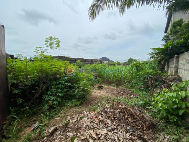 Land for sale in Owerri