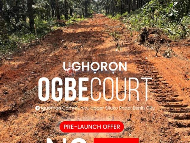 Land for sale in Benin