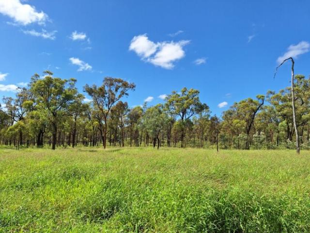 Cottage for sale in Aramac, Queensland