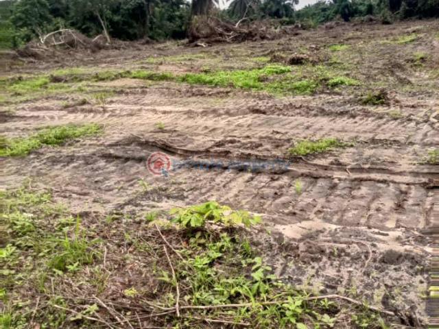 Commercial for sale in Lagos, Oshodi 
