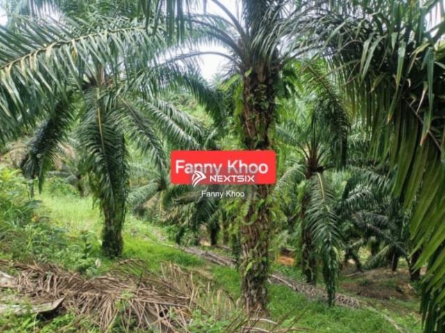 Property for sale in Johor