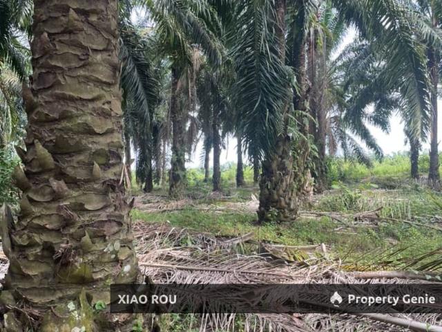 Property for sale in Malaka