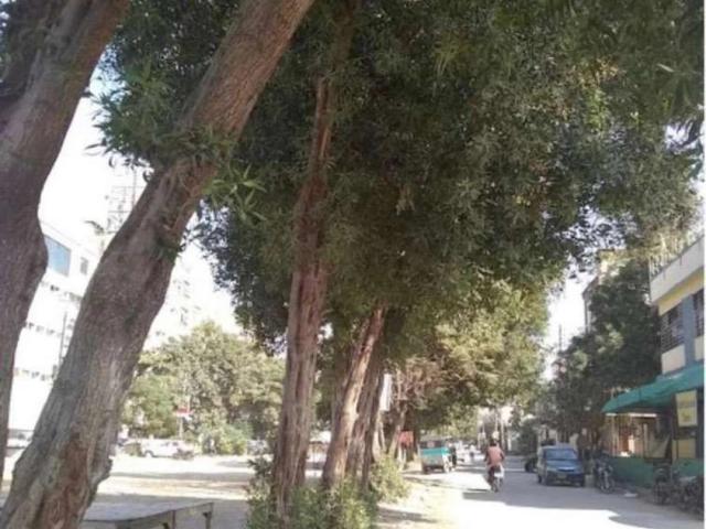 Commercial for sale in North Waziristan, Federally Administered Tribal Areas fata