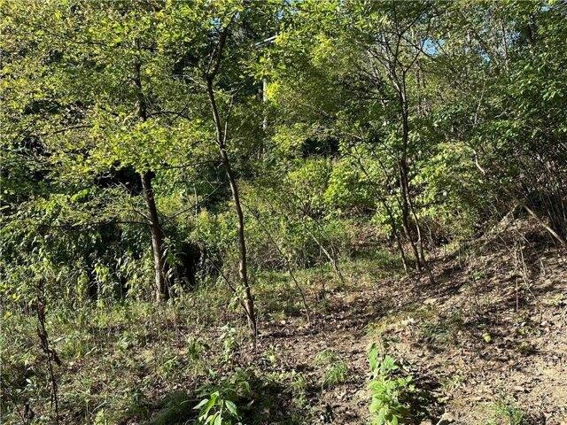 Land for sale in Monroeville Land for sale in Monroeville