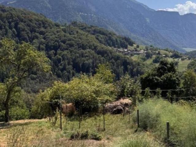Haus mieten in Ollon (VS), Waadt