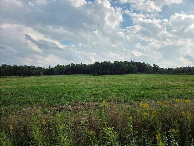 Land for sale in Branchport, New York