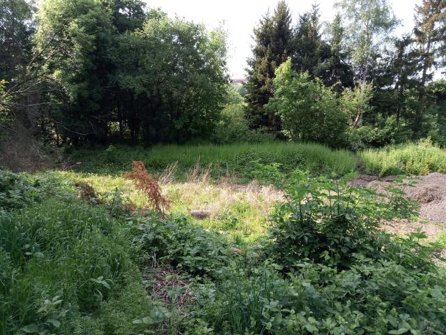 Erdgeschosswohnung kaufen in Werden, Essen