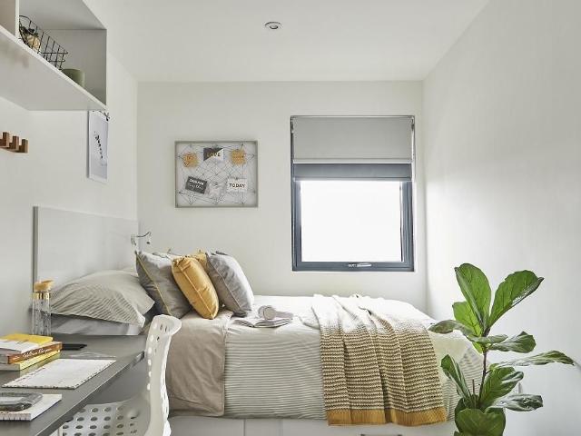 Room for rent in Watergate, Devon