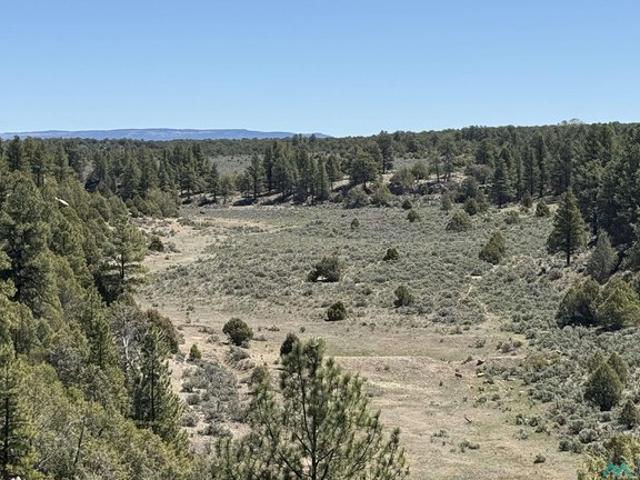 Farm for sale in Cebolla, New Mexico