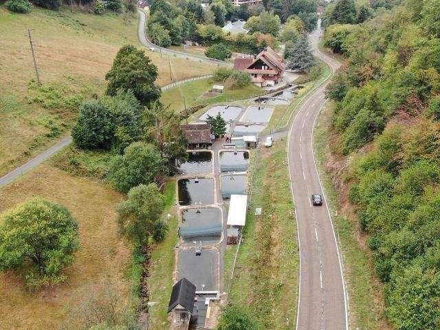 Erdgeschosswohnung kaufen in Gernsbach, Landkreis Rastatt