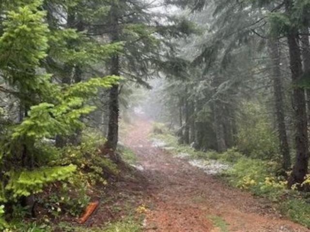 Land for sale in Oregonia
