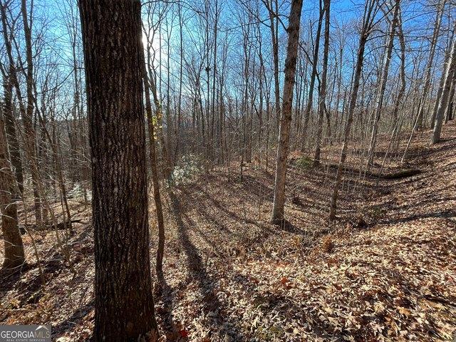 Land for sale in Clayton, Georgia