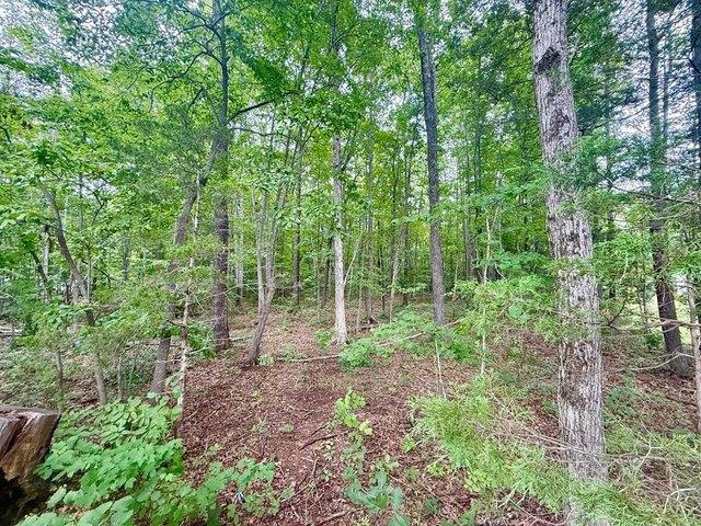 Land for sale in Virginia