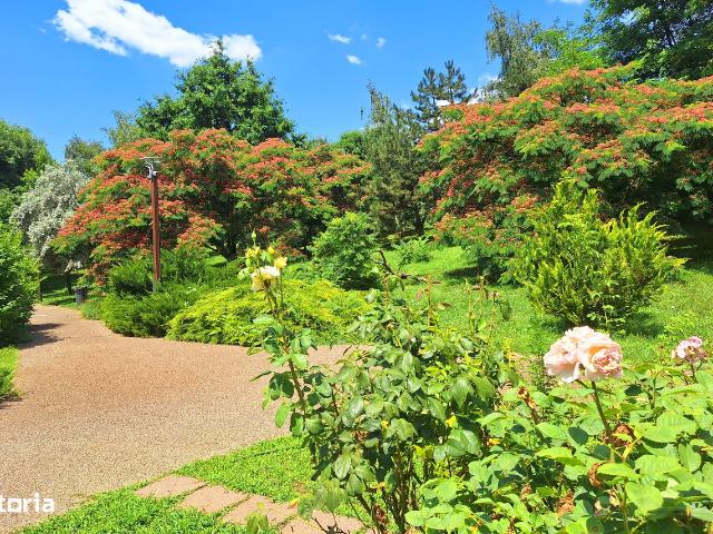 Casă vânzări în Chitila, București