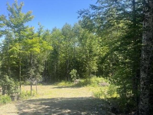 Land for sale in Forest Township, Danforth