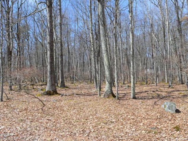 Land for sale in Hawley, Pennsylvania