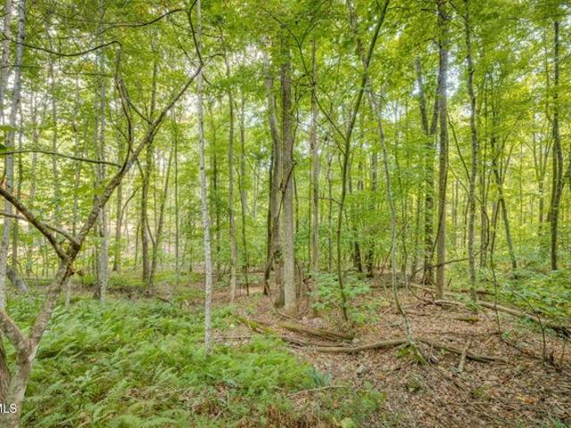 Land for sale in Tennessee