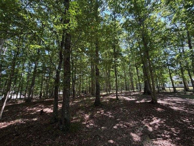 Land for sale in Tennessee