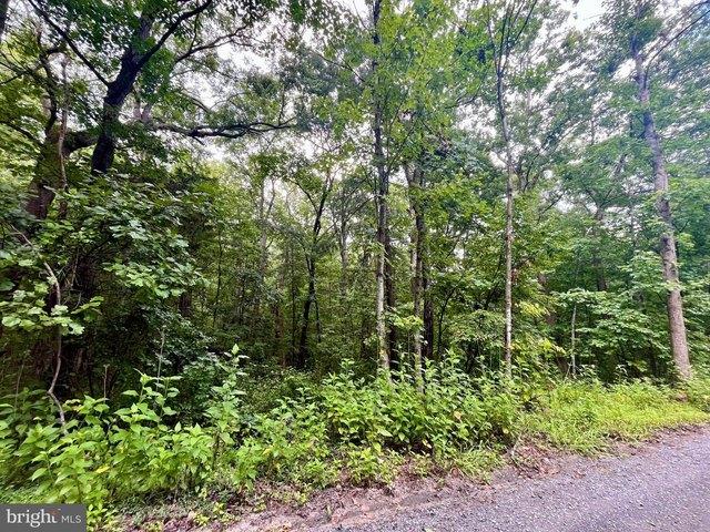 Land for sale in Virginia