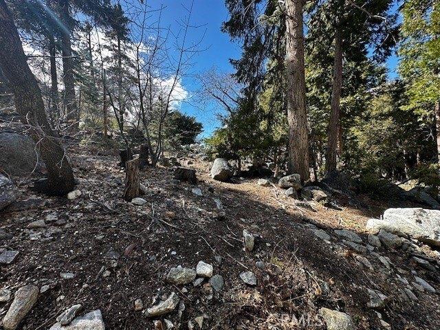 Land for sale in Forest Falls Land for sale in Forest Falls
