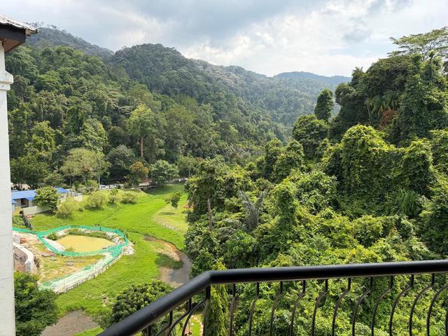 Apartment for rent in Penang