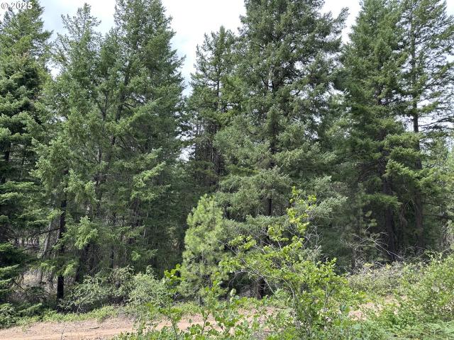 Land for sale in Goldendale, Washington