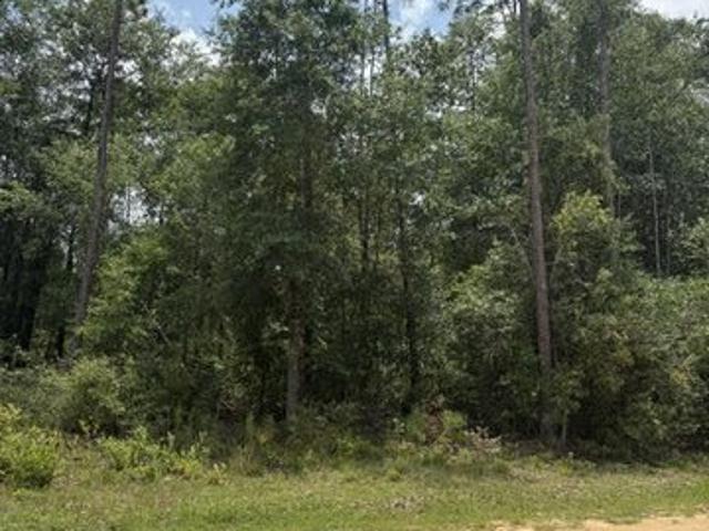 Land for sale in Florida