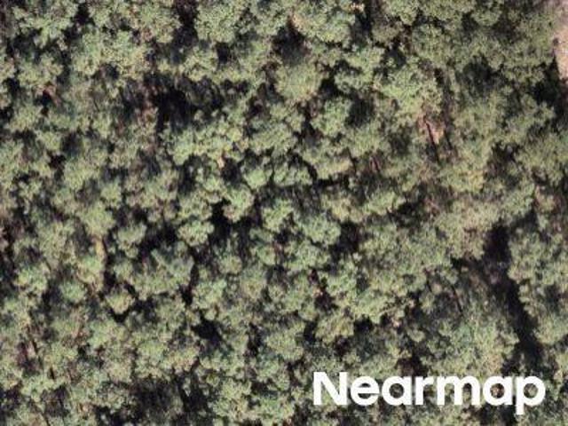 Property for sale in Willis, Texas
