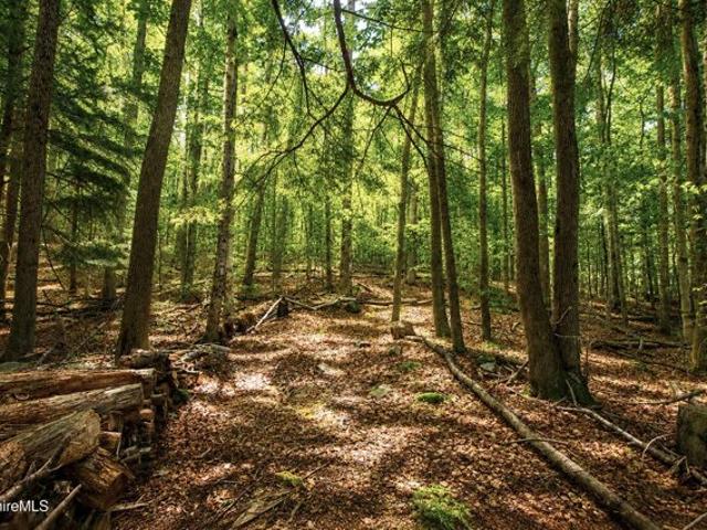 Land for sale in Berkshire, Massachusetts